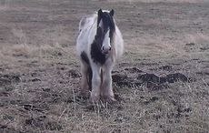 cropped-DSCF3054.jpg
