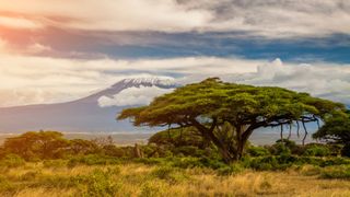 A scenic view of Kenya