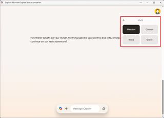 Copilot voice options