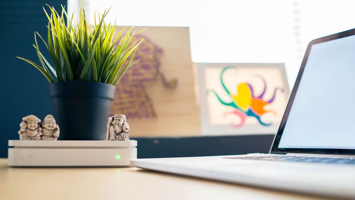 plants on desk