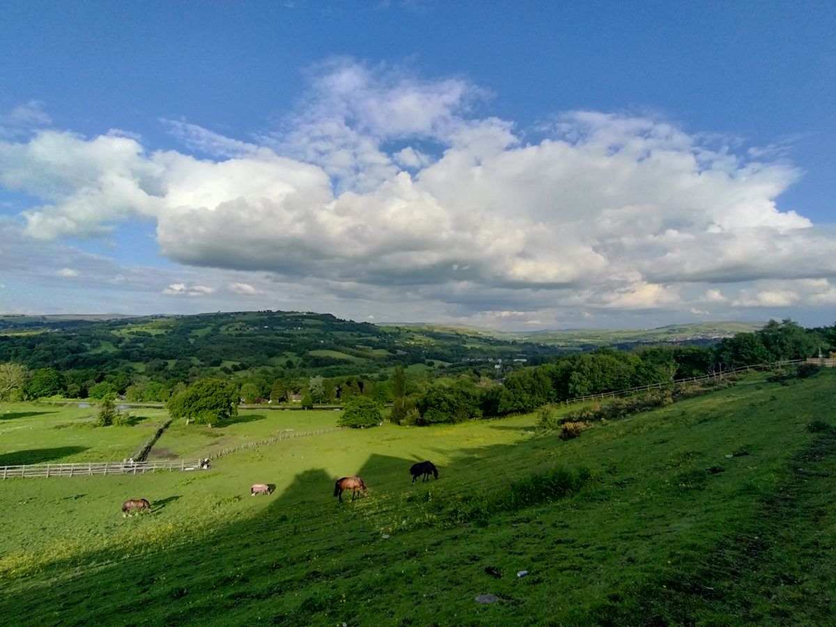 Realme 9 camera sample showing rolling hills in ultrawide mode