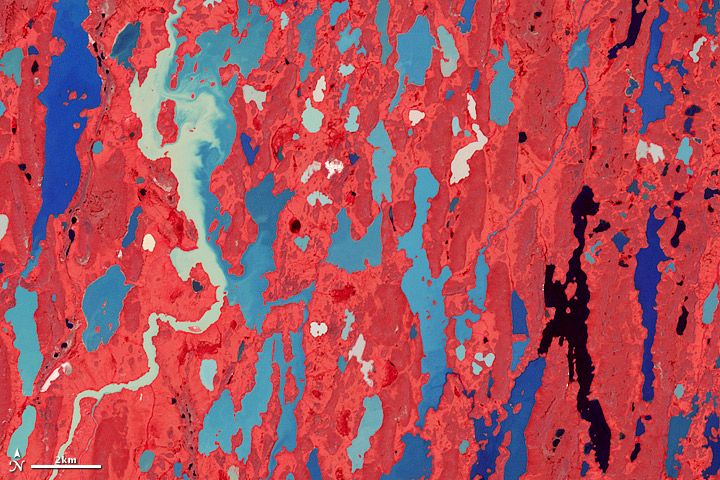 Nunavut Territory lakes and wetland seen by satellite