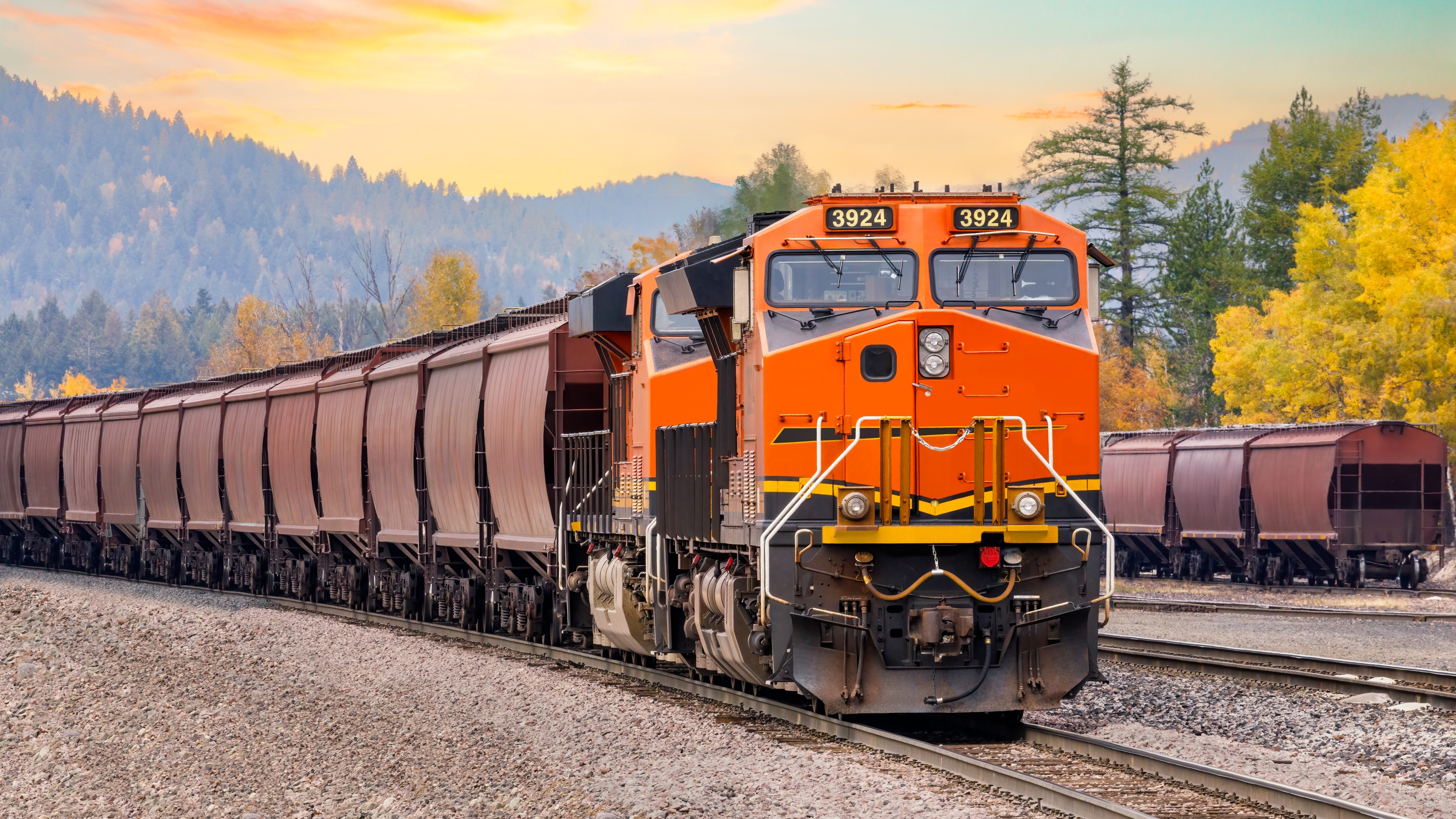 Freight Train
