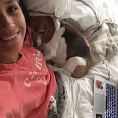 Meghan Markle and guy the dog sitting in bed next to a computer