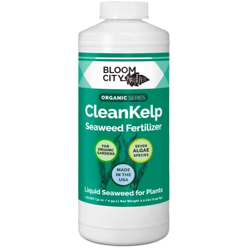 Bloom City Seaweed and Kelp Liquid Fertilizer for Plants, 32 Oz