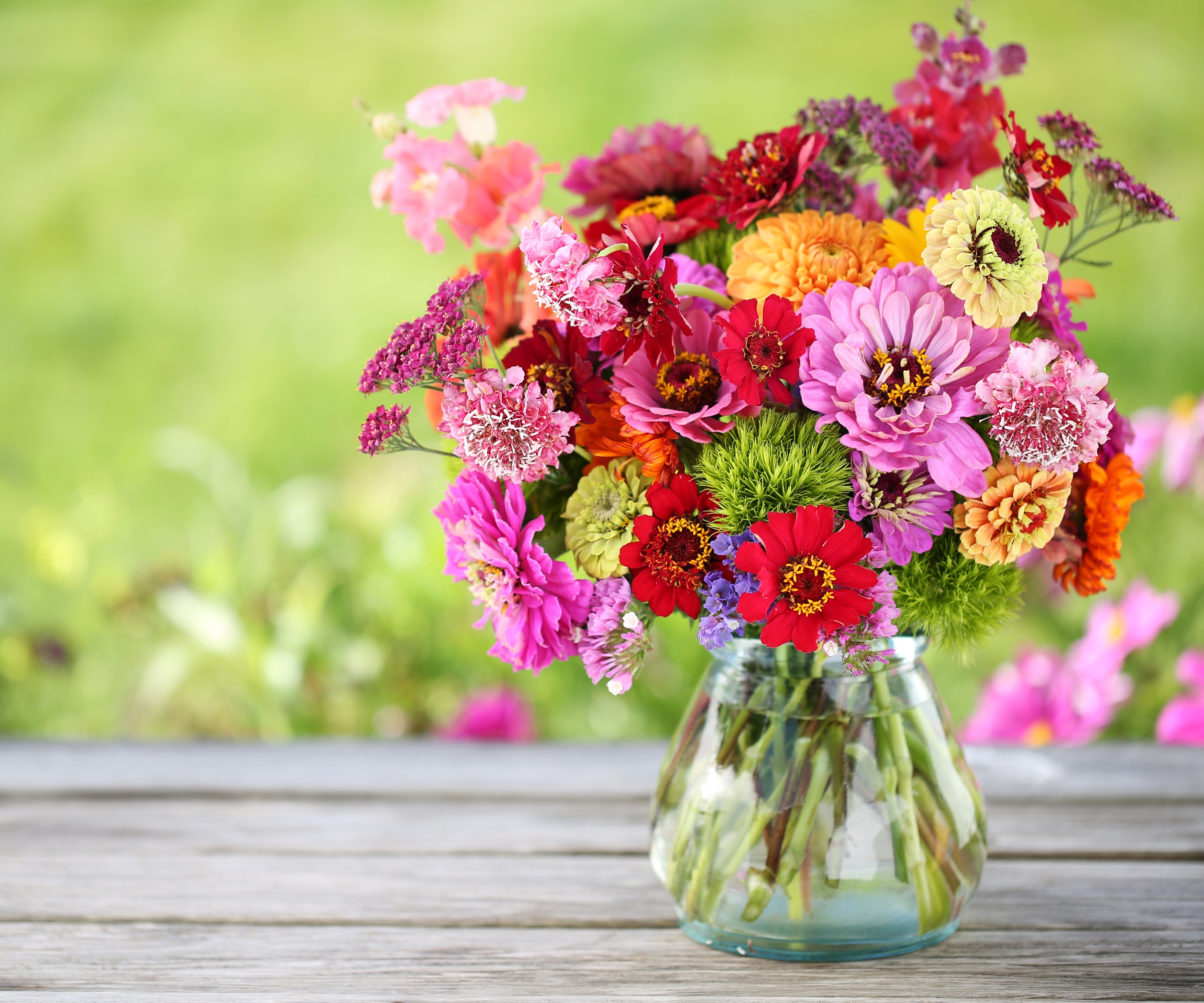 Cut zinnias in vase