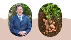 composite of pictures of monty don and freshly dug potatoes to support Monty Don's potato harvesting advice