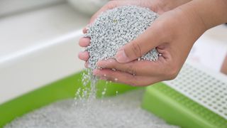 Woman with hands scooped holding cat litter from one of the best cat litter subscriptions over litter box