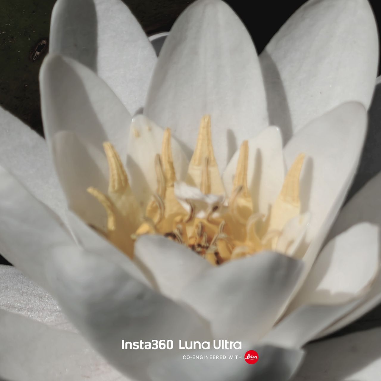 Insta360 Luna Ultra sample images