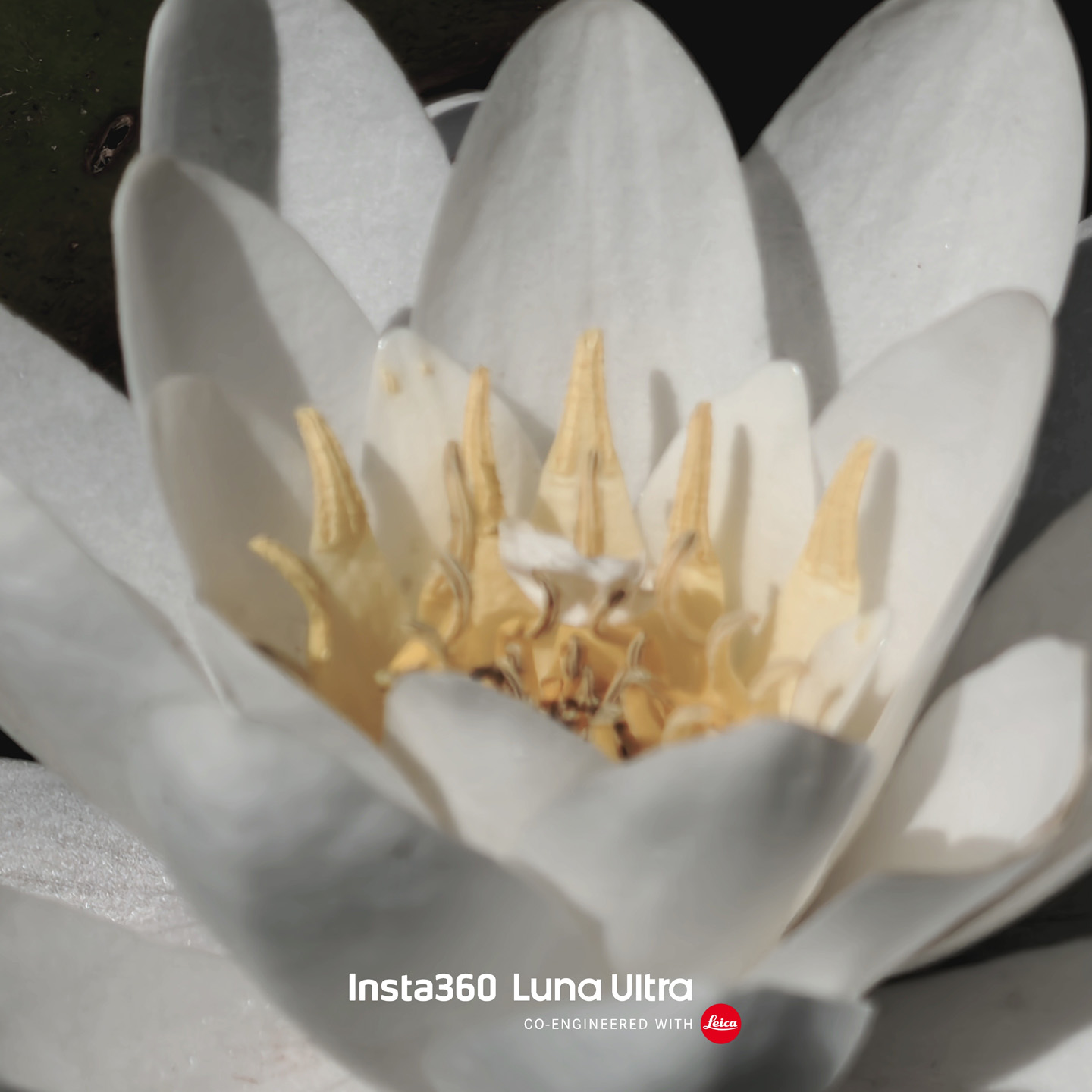 Insta360 Luna Ultra sample images