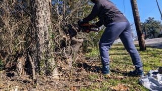 I got to work on some smaller trees and branches first. The chainsaw cut through them quickly and efficiently.