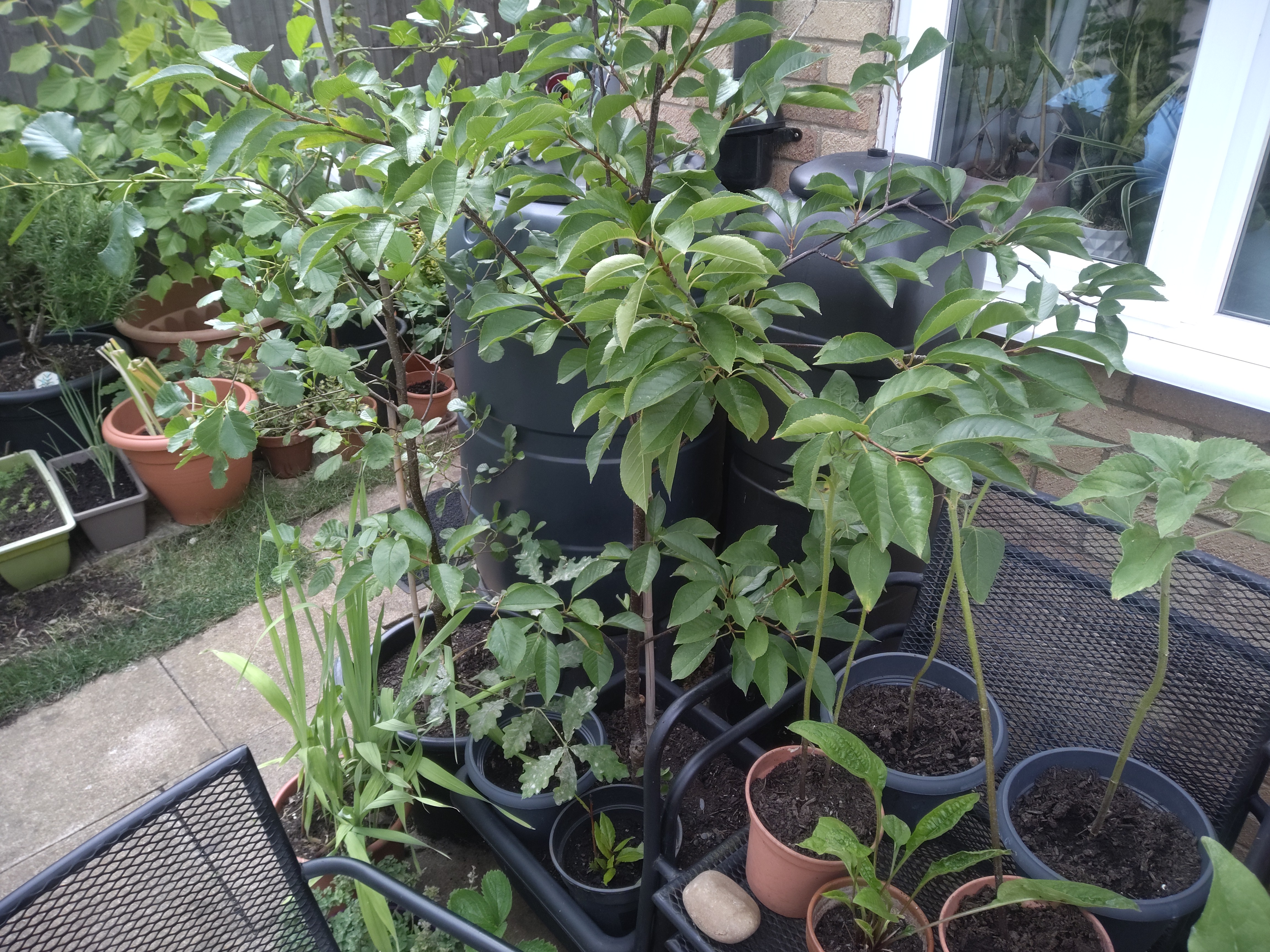Getax ZX10 G2 camera examples