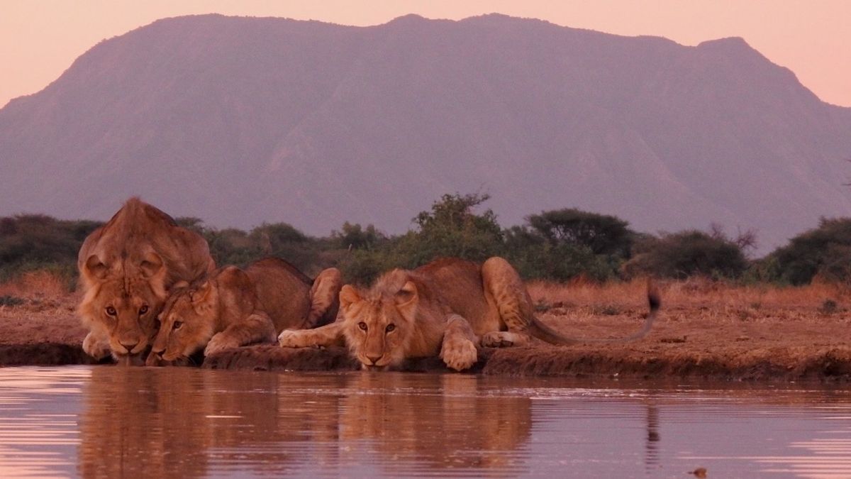 Explorations Company: a Kenya safari adventure beyond the expected ...