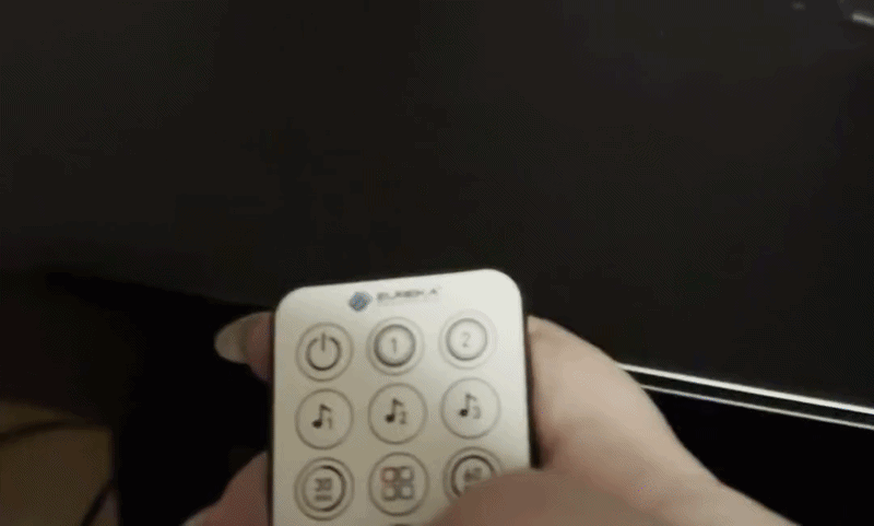 Me demonstrating the Eureka Ergonomic remote