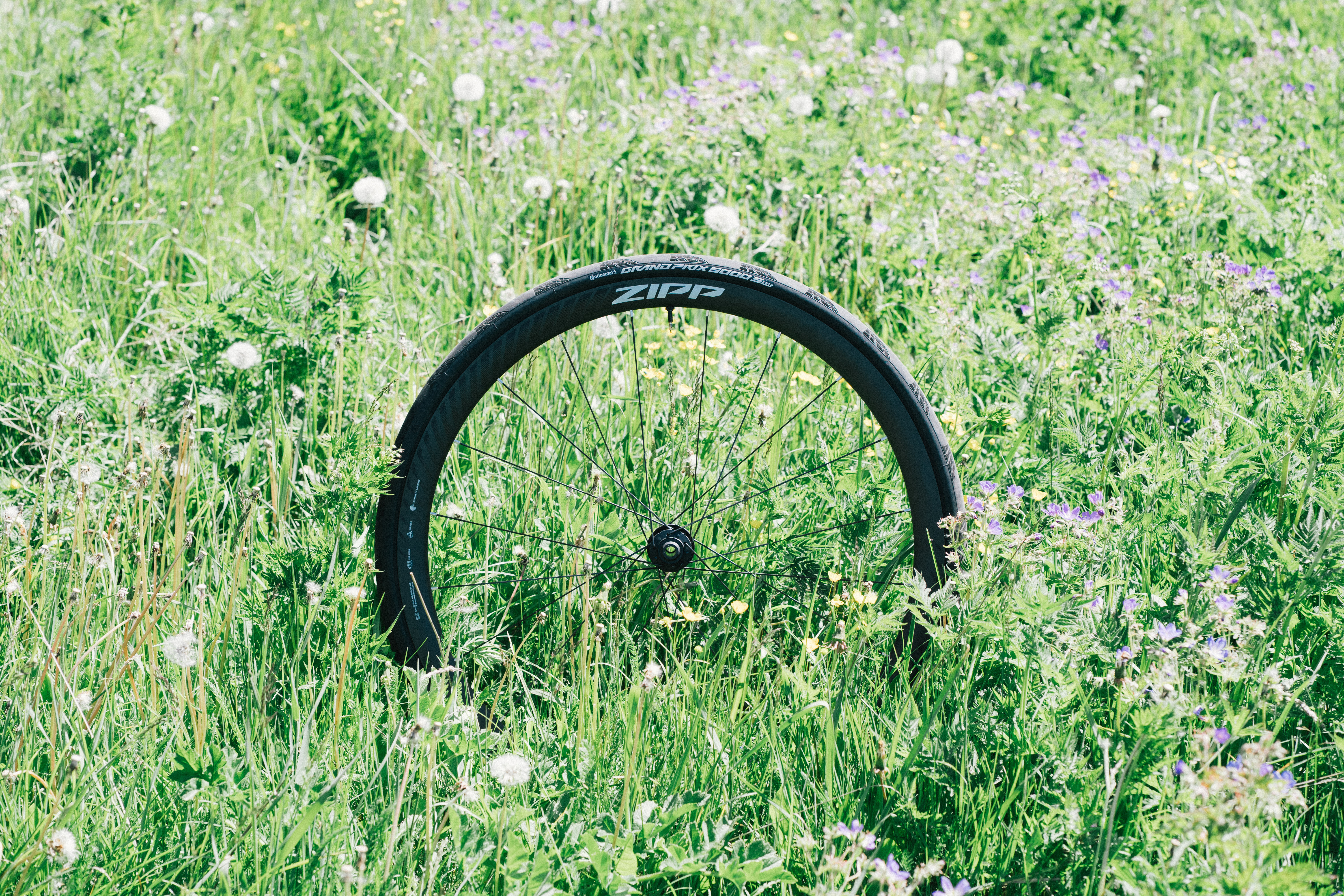 A zipp wheel in an alpine meadow