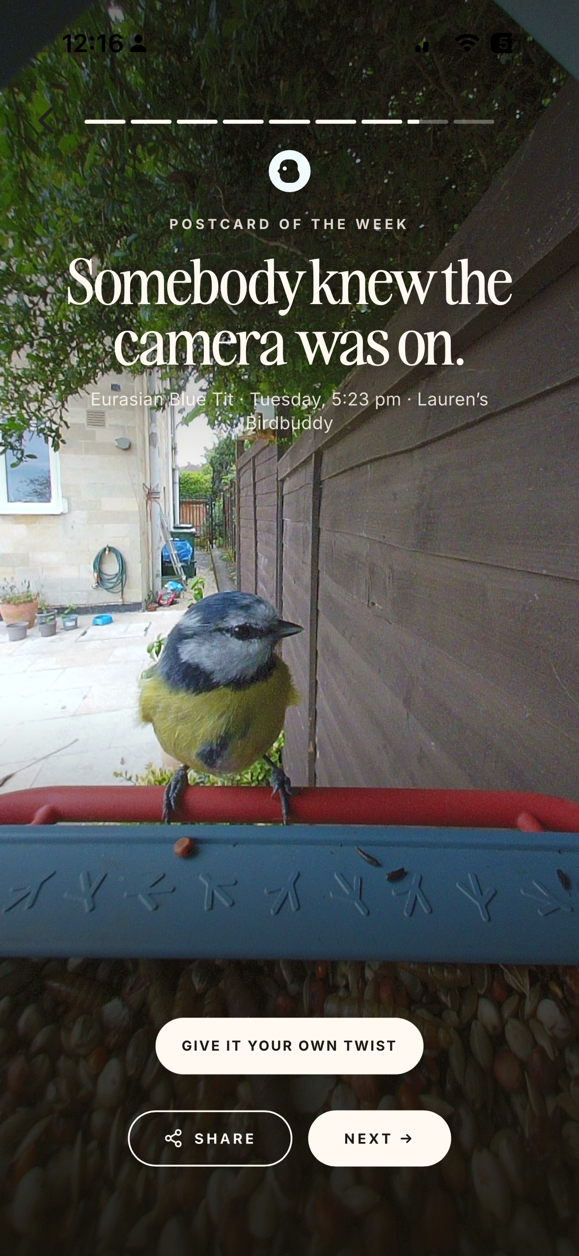 Screenshots from the Bird Buddy app