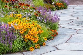 border of brightly colored flowers alongside paving