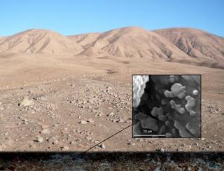 The Atacama Desert in North Chile with an inset showing microbes found beneath it during a test run for detector intended to look for life on Mars. . 