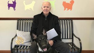 Biden dogs