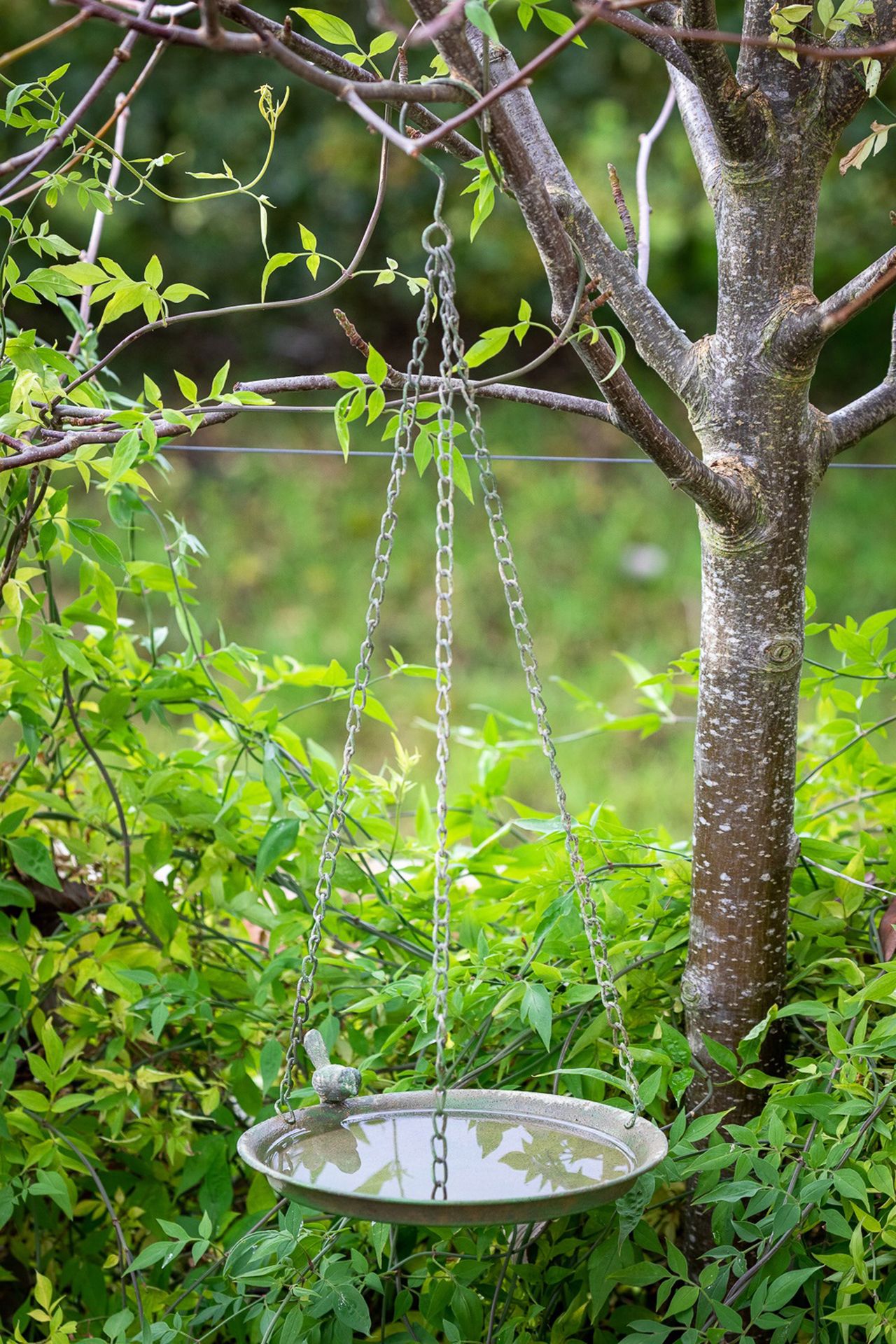 Bird bath ideas 13 stylish ways to bring birds into your garden