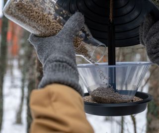 Filling a bird feeder