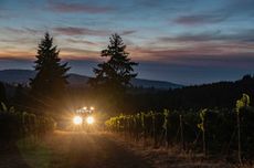 Image of Lange Estate Harvest