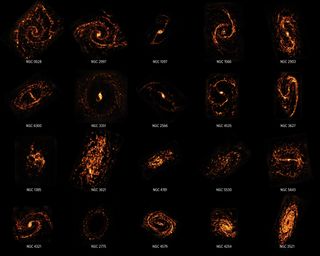 Here, a few of the 100,000 stellar nurseries mapped in a new service from the ALMA radio telescope.
