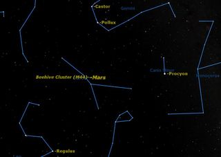 The planet Mars is imbedded amongst the stars of the Beehive Cluster in Cancer.