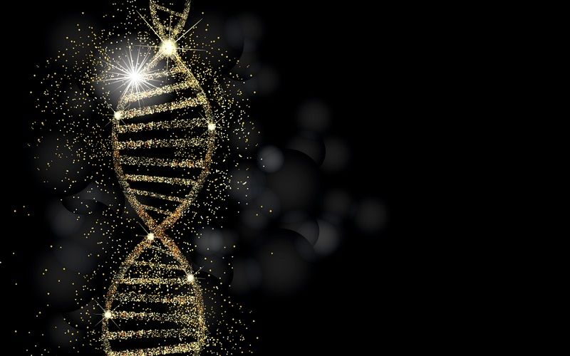 An illustration of a DNA molecule with gold glow.