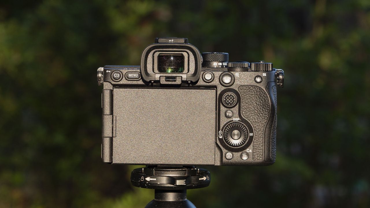 Rear of the Sony A7R VI camera with screen packed away, it's mounted to a tripod outdoors, there's a natural background