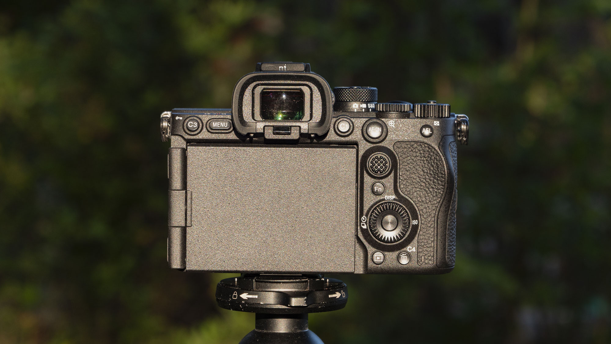 Rear of the Sony A7R VI camera with screen packed away, it's mounted to a tripod outdoors, there's a natural background