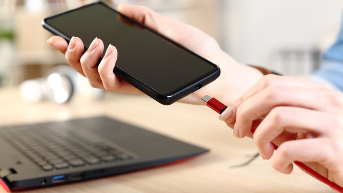 woman hands plugging usb c battery charger cord on a smart phone at home