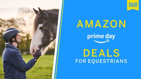 Horse & Hound Amazon Prime Day deals graphic with horse and rider