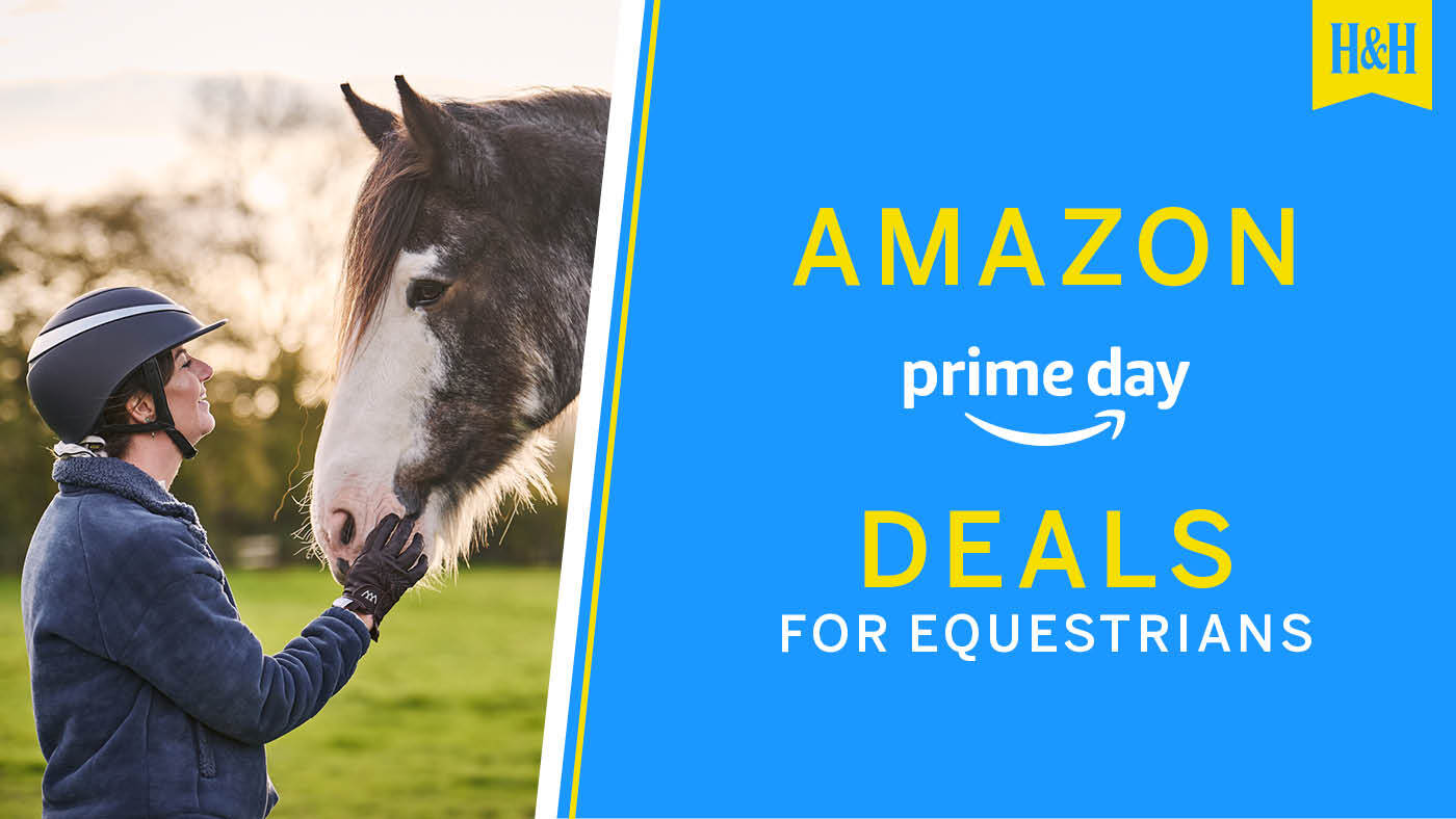 Horse &amp; Hound Amazon Prime Day deals graphic with horse and rider