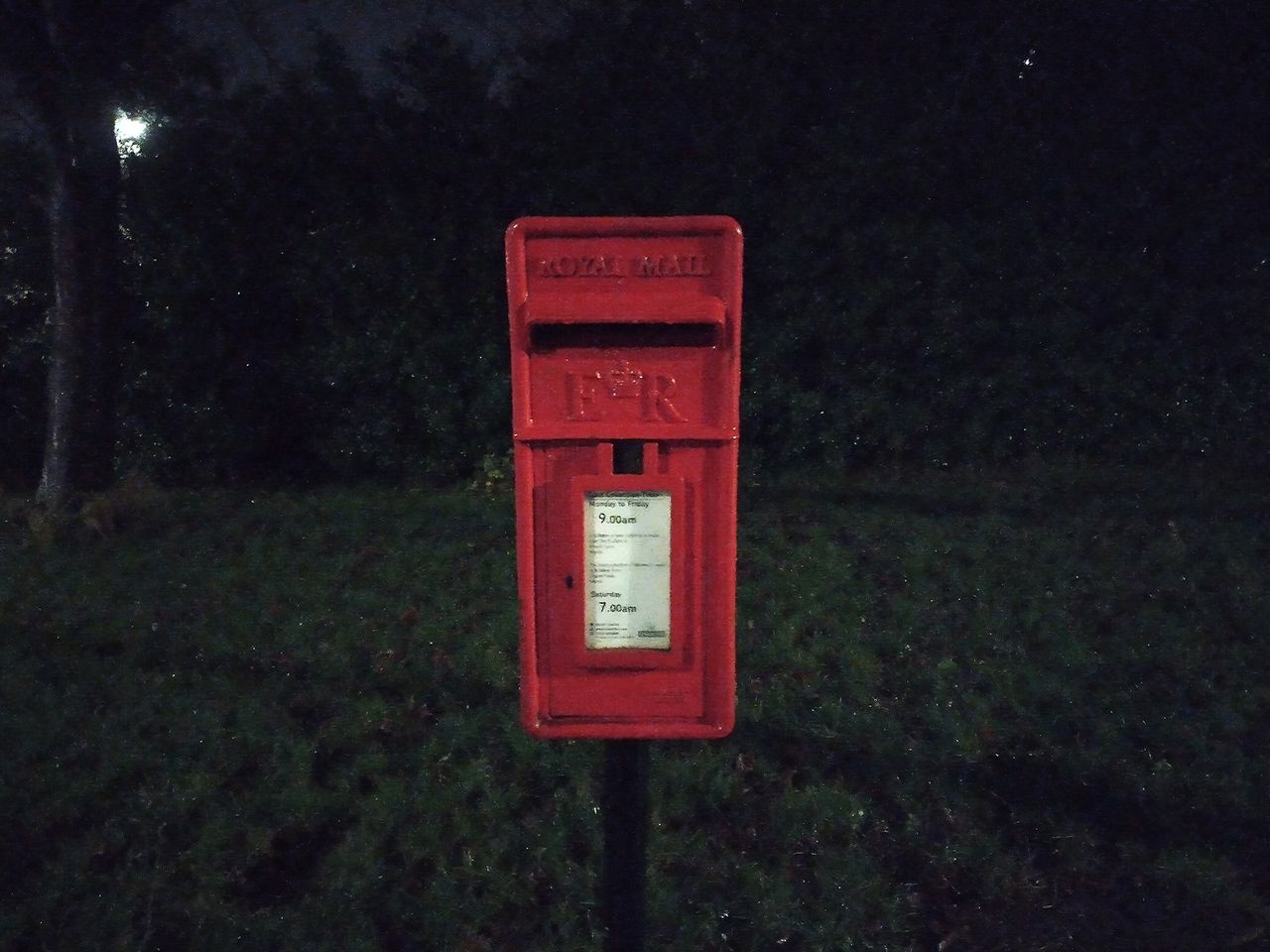 Nokia 3.4 camera sample