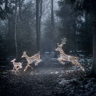 Christmas lights in display of outdoor reindeer figurines