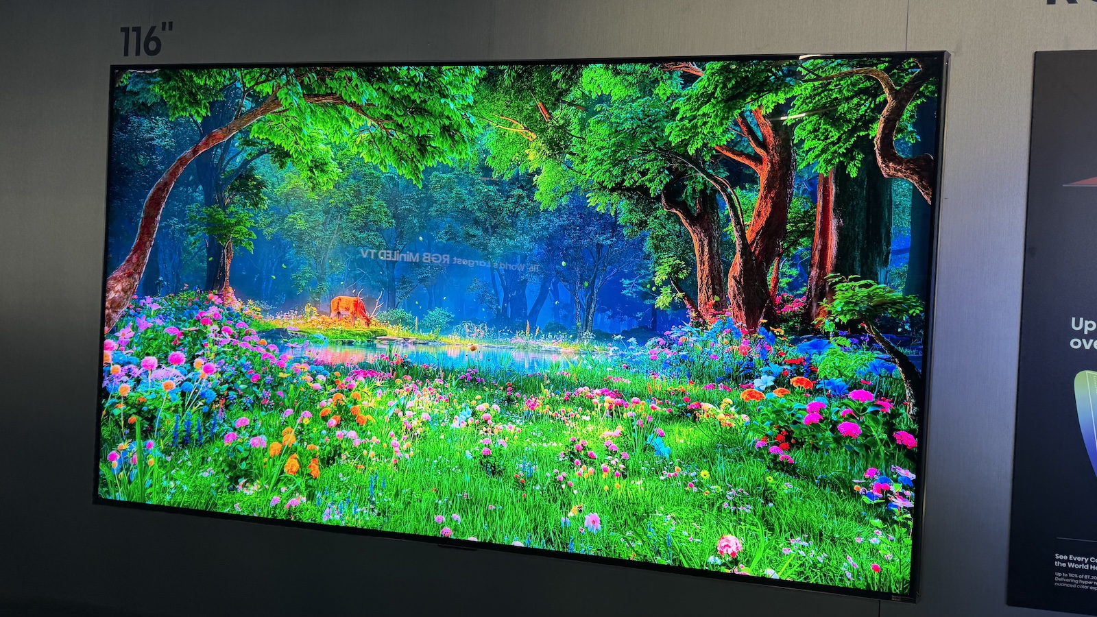 Buying a TV from a bricks-and-mortar shop is a great idea – just avoid these 5 mistakes
