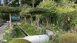 Chelsea Flower Show 2023: a photograph of one of the gardens