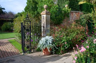 An English country garden with fuschias and delphiniums in Gloucestershire.