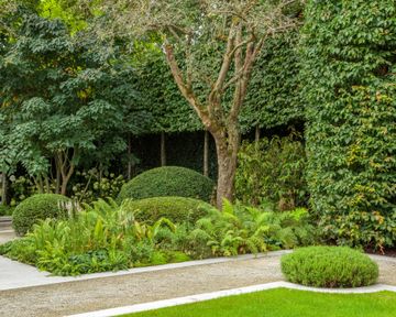 A minimalist city garden of outdoor rooms with innovative topiary