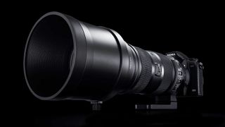 Sigma 150-600mm f/5-6.3 DG OS HSM | S