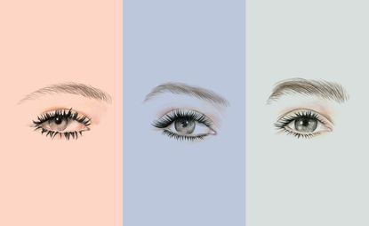 illustrations of eyes in various coloured boxes