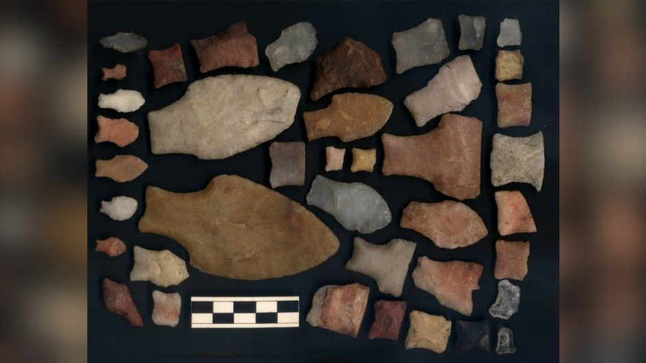 a series of stone points of varying natural colors shaped a bit like goldfish crackers
