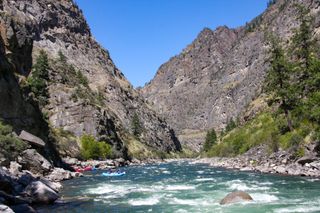 Rafters on the Middle Fork of the Salmon River in Idaho