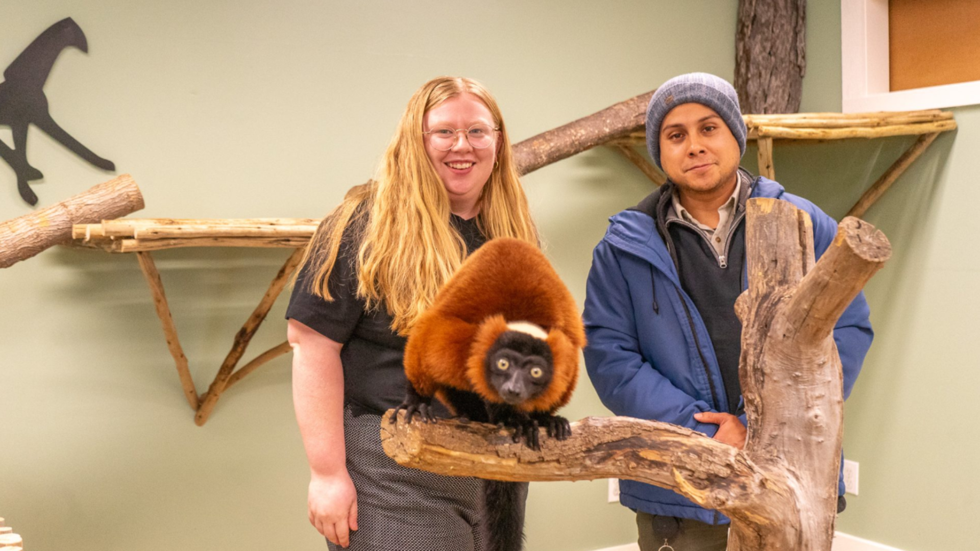 Forget Dr Doolittle, study finds animals might not only want…