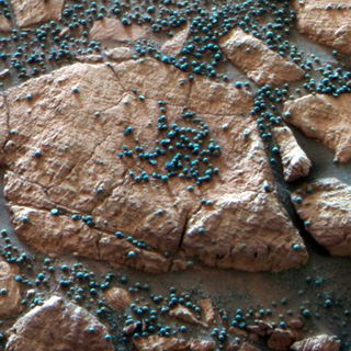 These loose, BB-sized, hematite-rich spherules are embedded in this Martian rock like blueberries in a muffin and released over time by erosion. The Mars Rover Opportunity found this cluster of them at its Eagle Crater landing site and analyzed their composition with its spectrometers. Hypotheses about their formation have contributed to the story of water on Mars.