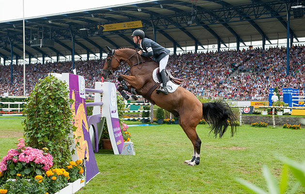 Scott-Brash-Hello-Sanctos.jpg