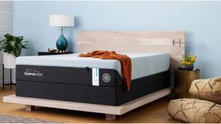 The 2023 Tempur-Breeze mattress on a bed frame in a spacious bedroom