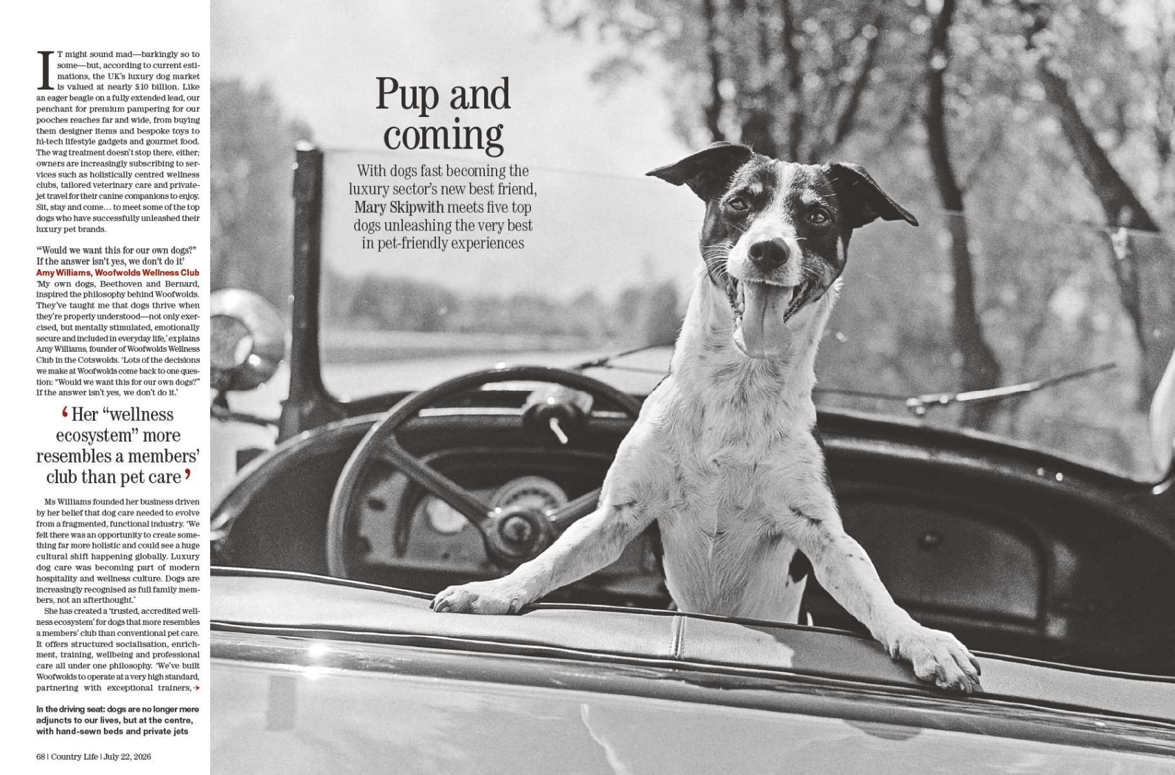 Spreads from Country Life 22 July 2026
