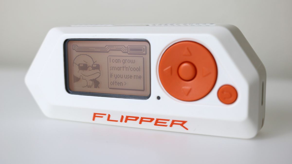 Flipper Zero device being used for trouble